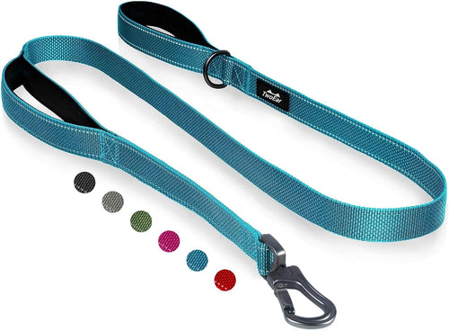 6FT 1IN Heavy Duty Dog Leash for Large Dogs with 2 Padded Handles
