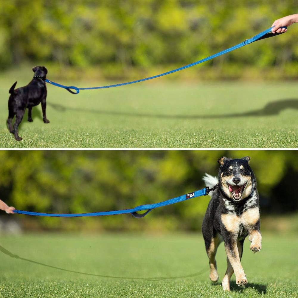 Double Handle Dog Leash, 6 FT Long, for Medium Large Dogs