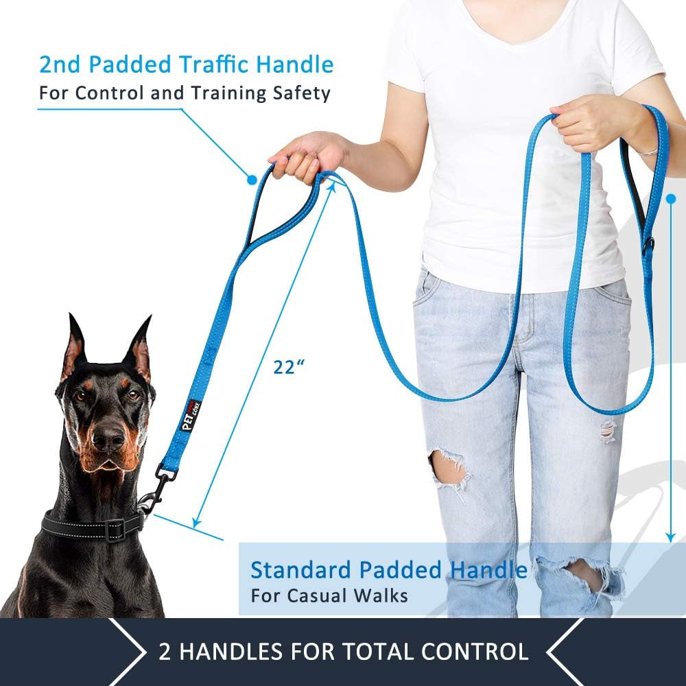 Double Handle Dog Leash, 6 FT Long, for Medium Large Dogs
