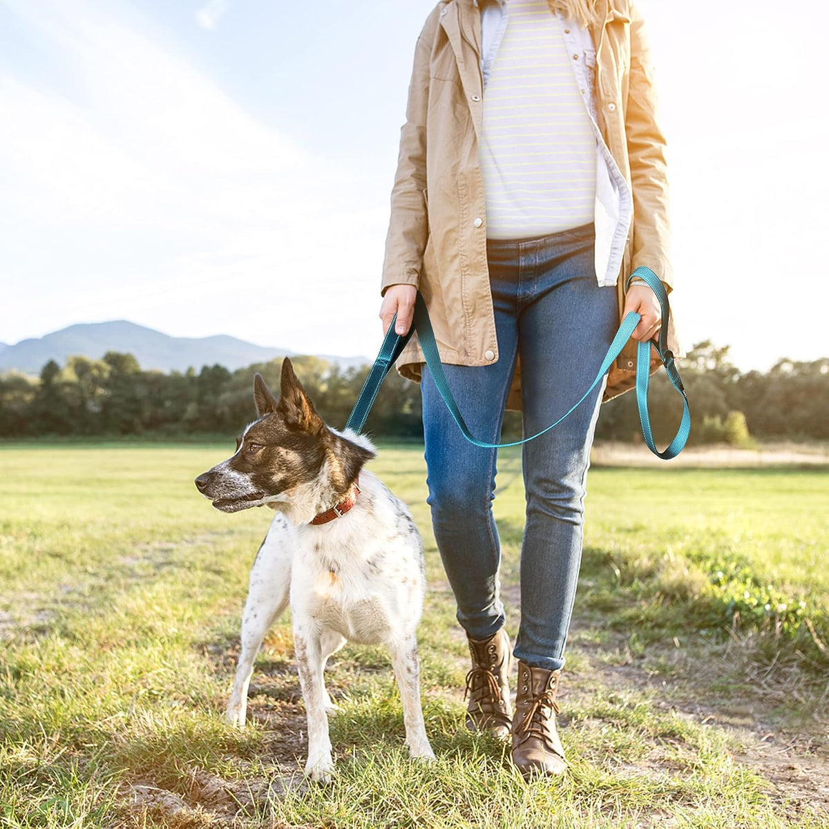 6FT 1IN Heavy Duty Dog Leash for Large Dogs with 2 Padded Handles