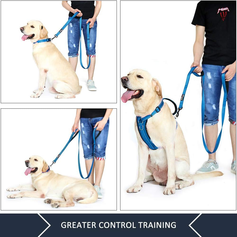Double Handle Dog Leash, 6 FT Long, for Medium Large Dogs