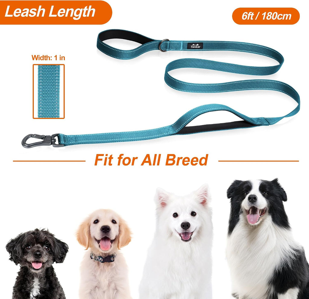 6FT 1IN Heavy Duty Dog Leash for Large Dogs with 2 Padded Handles