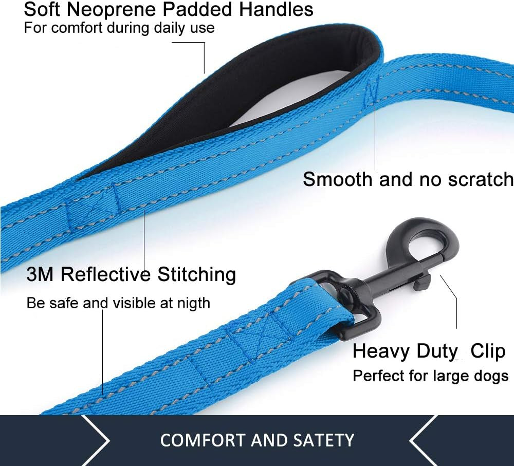 Double Handle Dog Leash, 6 FT Long, for Medium Large Dogs