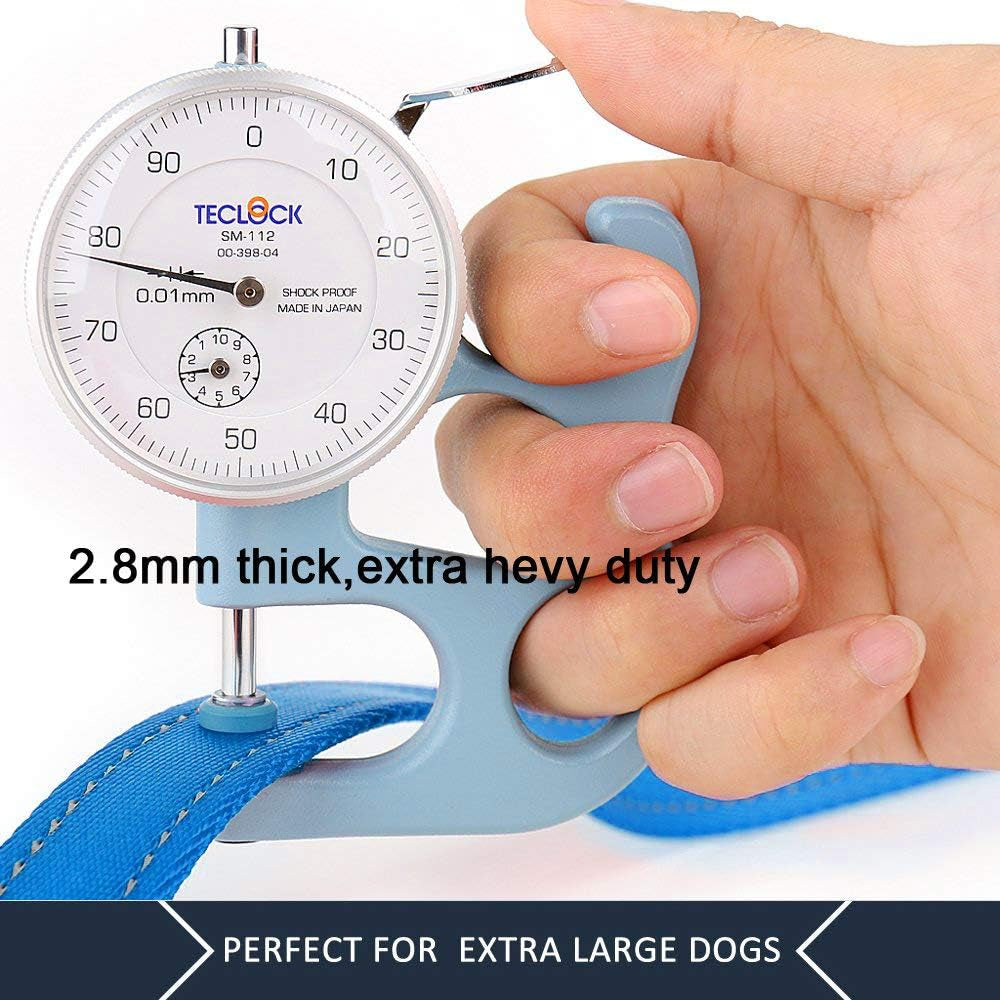Double Handle Dog Leash, 6 FT Long, for Medium Large Dogs