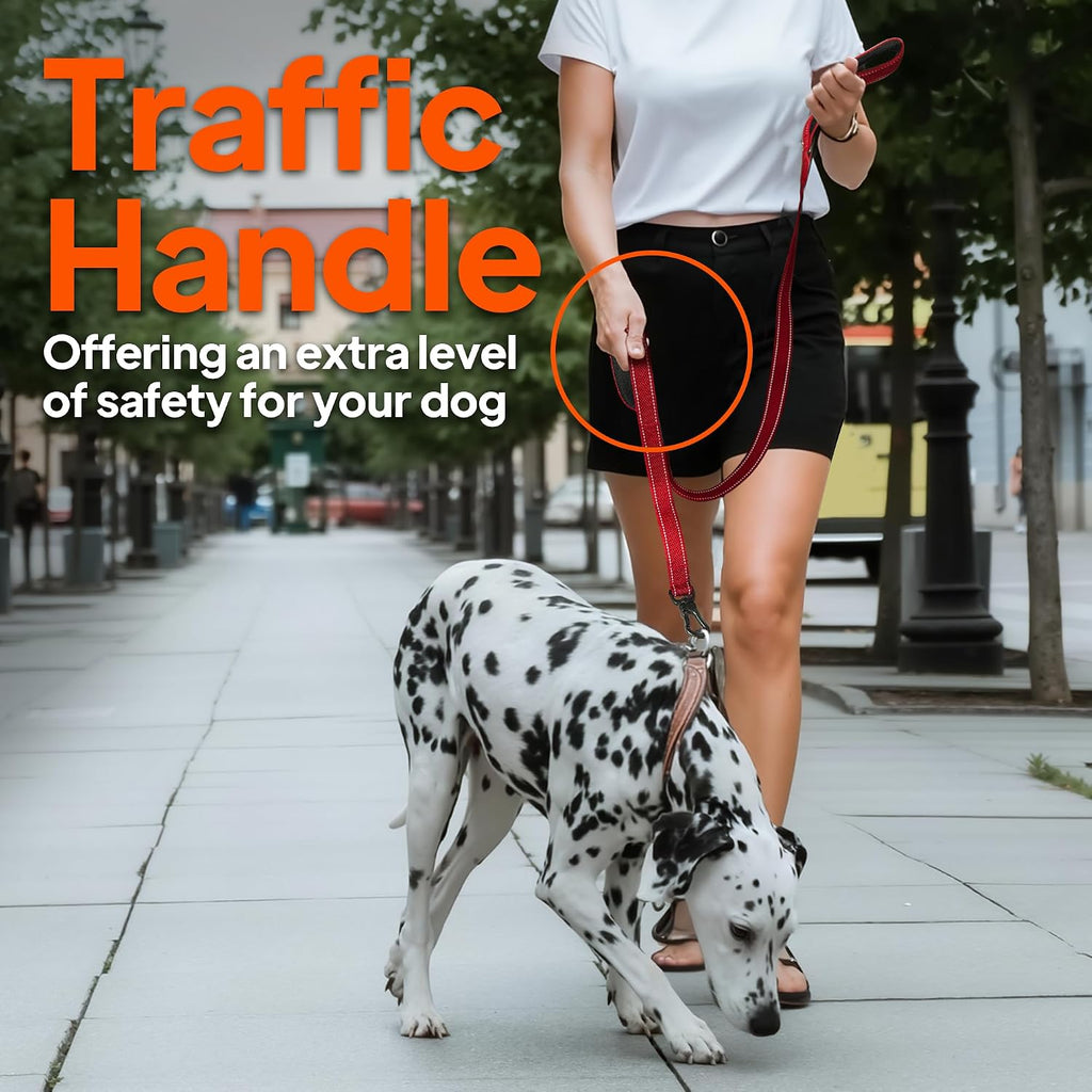 6FT 1IN Heavy Duty Dog Leash for Large Dogs with 2 Padded Handles